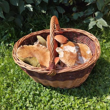 Agroturystyka Chata Za Wsia Uscie Gorlickie Bagian luar foto