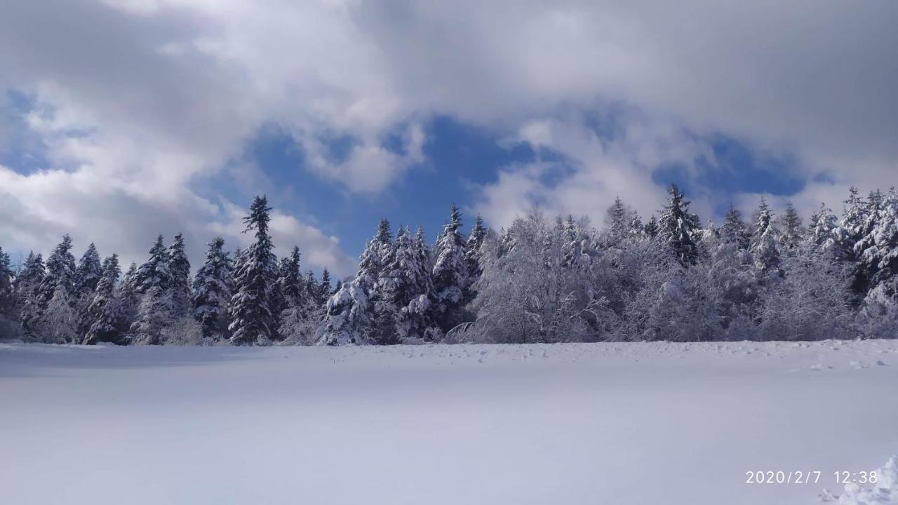 Agroturystyka Chata Za Wsia Uscie Gorlickie Bagian luar foto